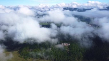 Sis, ladin ormanlarının üzerine eser. Sisli bir günde dağ tepelerindeki ladin ormanlarının hava görüntüleri. Sabahları alçak ve merkezi bulutlar. İHA görüntüsü, kuş bakışı görüntüler, gerçek zamanlı görüntüler. 