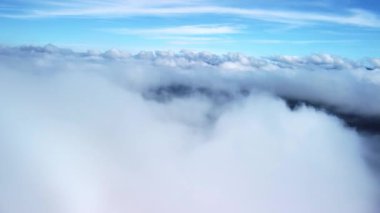 Sis, ladin ormanlarının üzerine eser. Sisli bir günde dağ tepelerindeki ladin ormanlarının hava görüntüleri. Sabahları alçak ve merkezi bulutlar. İHA görüntüsü, kuş bakışı görüntüler, gerçek zamanlı görüntüler. 