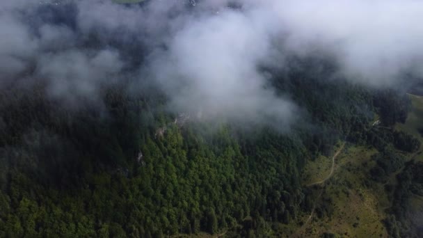 云雾吹过云杉林 在多雾的天气里 高山上云杉林的空中拍摄 早上的低云和中心云 无人机视图 实时视频 — 图库视频影像