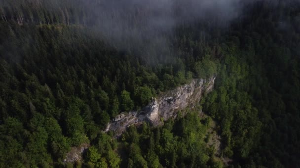 Sis Ladin Ormanlarının Üzerine Eser Sisli Bir Günde Dağ Tepelerindeki — Stok video