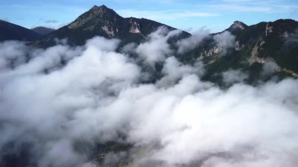 云雾吹过云杉林 在多雾的天气里 高山上云杉林的空中拍摄 早上的低云和中心云 无人机视图 超驰镜头 — 图库视频影像
