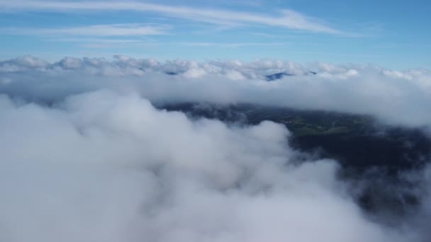 Niebla Brumosa Sopla Sobre Los Bosques Abetos Fotos Aéreas Bosques — Vídeos de Stock