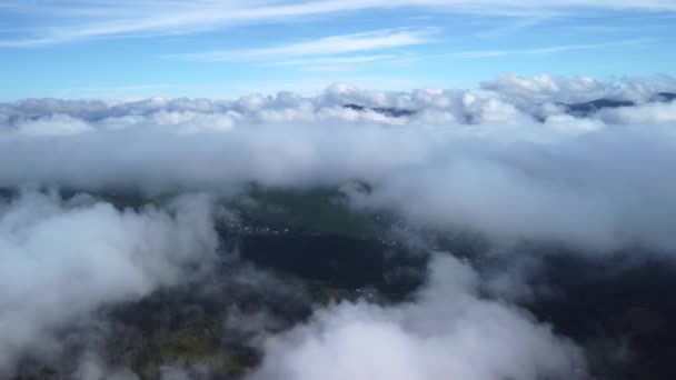 Mlhavá Mlha Fouká Nad Smrkovými Lesy Letecké Záběry Smrkových Lesů — Stock video