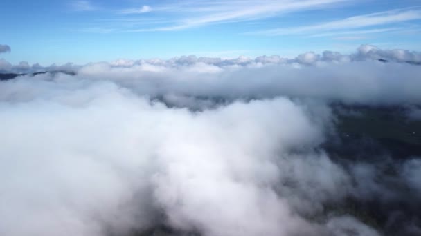 Туманный Туман Дует Над Еловыми Лесами Воздушные Кадры Еловых Лесов — стоковое видео