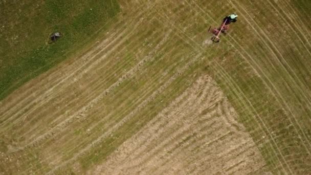 農家は収穫された干し草をトラクターのテダーの助けを借りて動かすことで 干し草の乾燥をスピードアップします トップ ワイフ 高品質4K映像 — ストック動画
