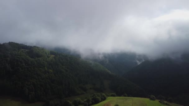Nebelschwaden Ziehen Über Die Fichtenwälder Luftaufnahmen Von Fichtenwäldern Auf Berghügeln — Stockvideo