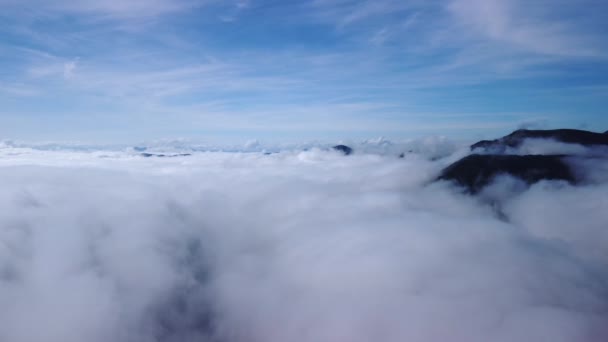 Brouillard Brumeux Souffle Sur Les Forêts Épinettes Plan Aérien Forêts — Video