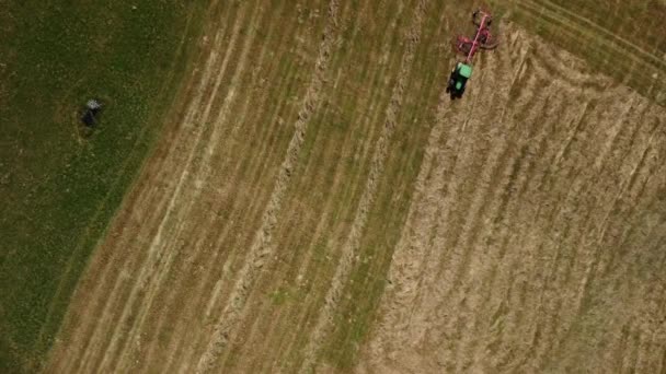 Фермер Прискорює Висушування Сіна Переміщуючи Зібрану Сіно Допомогою Трактора Топовий — стокове відео