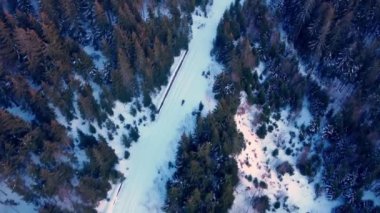 Karlı bir orman yolunda iki kar motosikletinin hava görüntüsü. Güneşin batışıyla aydınlanan ağaç tepeleri. Yüksek kaliteli FullHD görüntüler