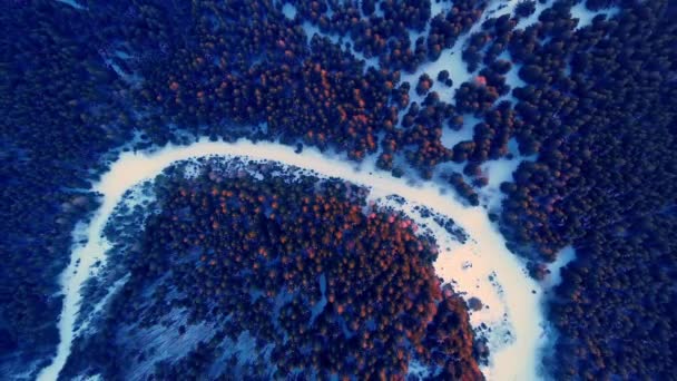 Живописный Закат Света Вершинах Зимней Снежной Сосны Ели Лесной Пейзаж — стоковое видео