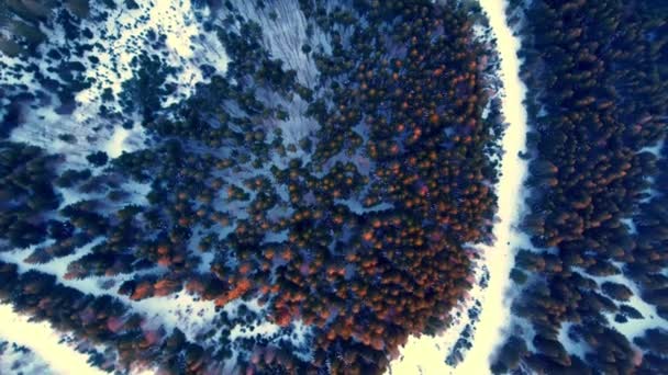 Widok Lotu Ptaka Zaśnieżoną Leśną Drogę Lesie Świerkowym Widok Góry — Wideo stockowe