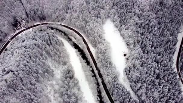Samochód Jadący Zimową Drogą Lasem Pokrytymi Śniegiem Drzewami Piękny Zimowy — Wideo stockowe