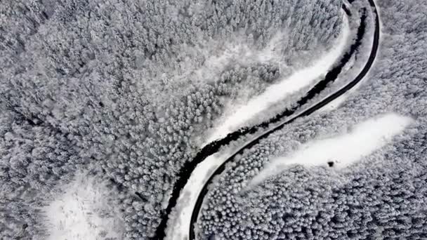 Flygfoto Vit Vinterskog Snöiga Trädtoppar Flod Och Asfalterad Väg Mellan — Stockvideo