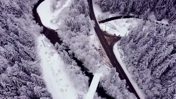 Beyaz Bir Kış Ormanının Hava Görüntüleri Karlı Ağaçların Tepeleri Yolların — Stok video