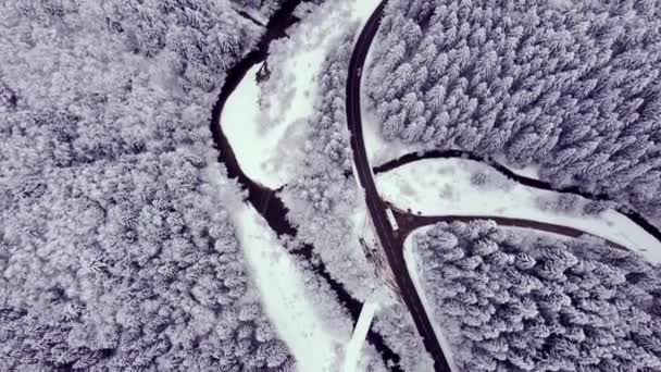Aerial Shot White Winter Forest Snowy Treetops River Asphalt Road — Stock Video