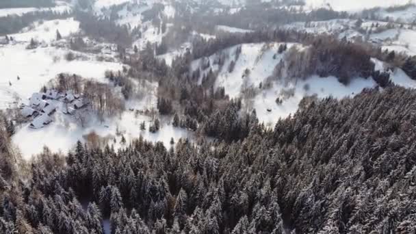 Luchtfoto Winterlandschap Met Pijnbomen Bedekt Met Sneeuw Huizen Onder Het — Stockvideo
