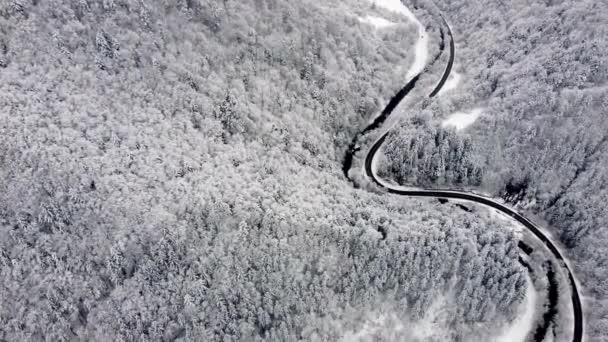 冬にはスプルースの森の中で車と道路の空中撮影 高品質4K映像 — ストック動画