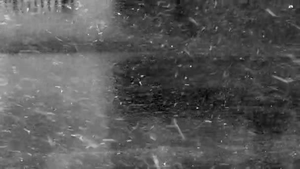 Schnee Der Stark Auf Die Straße Fällt Hochwertiges Filmmaterial — Stockvideo