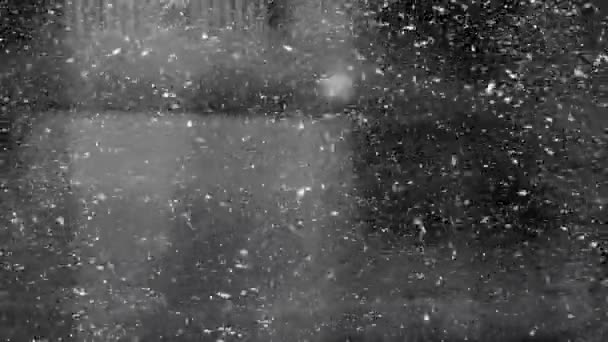 Сніг Сильно Падає Дорогу Високоякісні Кадри — стокове відео