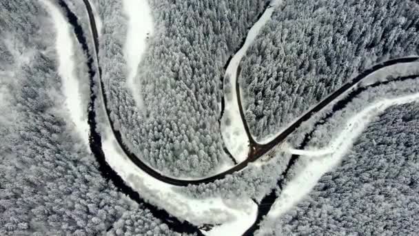 Zdjęcie Lotnicze Drogi Samochodami Pięknym Lesie Świerkowym Zimą Widok Góry — Wideo stockowe