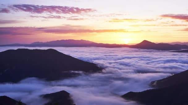 美丽的山水在日出时分 倒转的云海在山谷里 高质量的4K镜头 — 图库视频影像