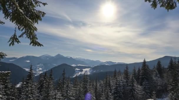 Гора Горбистий Зимовий Пейзаж Лісу Сонце Рухається Через Небо Хмарами — стокове відео