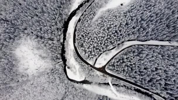 Zdjęcie Lotnicze Skrzyżowania Dróg Strumieni Lesie Świerkowym Zimą Drzewa Pokryte — Wideo stockowe