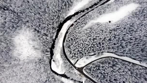 Luftaufnahme Einer Straße Mit Autos Einem Fichtenwald Winter Bäume Die — Stockvideo