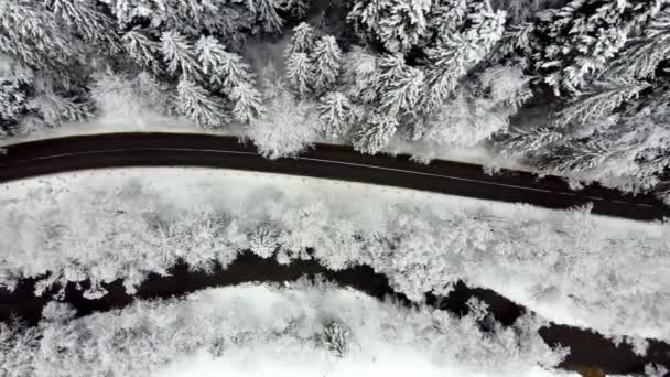 Zdjęcie Lotnicze Drogi Samochodami Świerkowym Lesie Zimą Drzewa Pokryte Śniegiem — Wideo stockowe