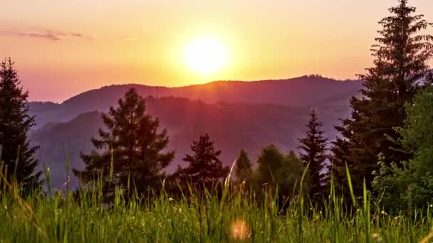 Západ Slunce Nad Divokými Lesními Horami Letním Večeru Karpatské Přírodě — Stock video