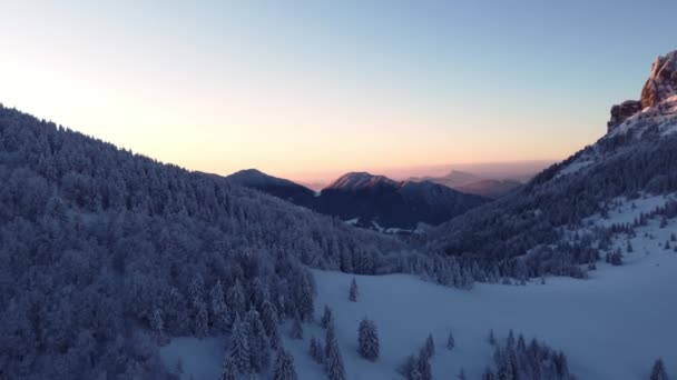 Forêt Hivernale Bordure Une Montagne Rocheuse Crépuscule Vue Depuis Drone — Video