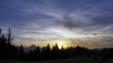 Renkli günbatımı dramatik gökyüzü, ormanda siyah ağaç siluetleri, peri akşamı atmosferi. Yüksek kalite 4k görüntü