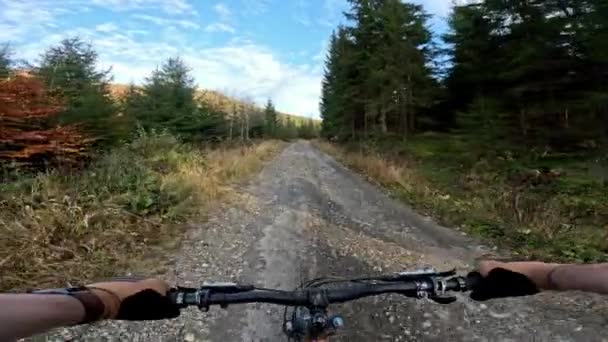Cyklist Cykling Bergsväg Skogen Pov Ursprunglig Synvinkel Skjuten Högkvalitativ Film — Stockvideo