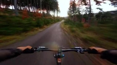 Günbatımında sonbahar ormanında hızlı MTB bisiklet sürüşü. Yoldaki yokuş aşağı dağ bisikleti. Birinci şahıs bakış açısı. - Evet. Yüksek kalite 4k görüntü