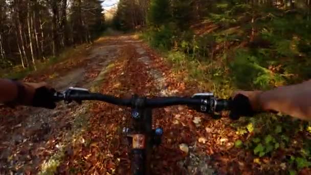 パブリック マウンテンバイクのサイクリストは 秋の森林に落ち葉で乗っています 高品質の4K映像 — ストック動画