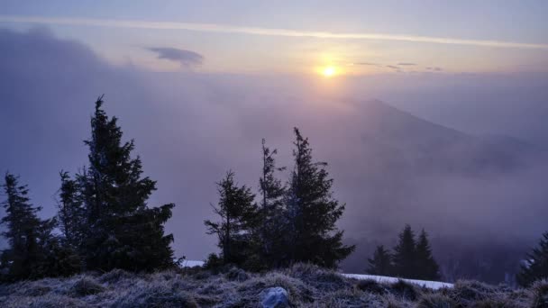 Восход Солнца Туманном Горном Ландшафте Восход Солнца Проникает Сквозь Деревья — стоковое видео