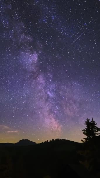 銀河系の宇宙 星が暗い夜の雲を辿る 永遠の気象シャワー 森の中の山の風景 火災によって人々 高品質の4K映像 — ストック動画