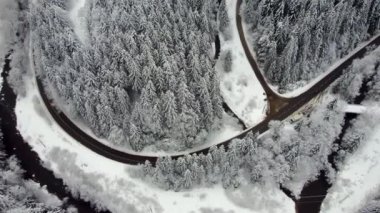 Hava kışı karlı ladin ormanları. Yol ayrımları, geçen arabalar. Yüksek kalite 4k görüntü