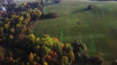 Karpat kırsal alanının sonbahar ormanı üzerinde hava aracı görüntüsü. Ormanda renkli ağaçlar. Yüksek kalite 4k görüntü