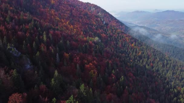 空中无人驾驶飞机俯瞰喀尔巴阡山脉秋天的森林 高质量的4K镜头 — 图库视频影像