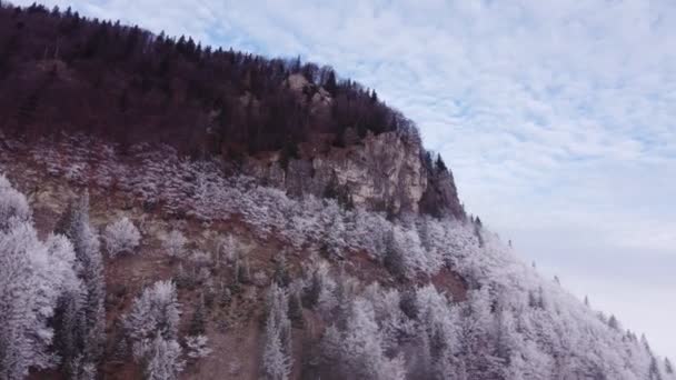 Forêt Hiver Bord Une Montagne Rocheuse Illuminée Par Soleil Couchant — Video