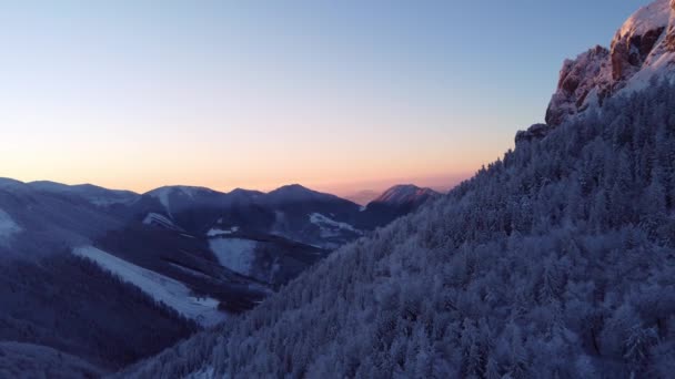 Zimowy Las Skraju Skalistej Góry Oświetlony Zachodzącym Słońcem Zmierzchu Wysokiej — Wideo stockowe