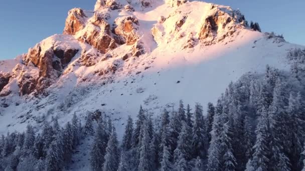 Winterbos Aan Rand Van Een Rotsachtige Berg Verlicht Door Ondergaande — Stockvideo
