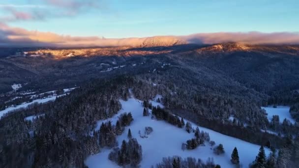 云彩和自然景观环绕着覆盖着树木的雪山的鸟瞰图 — 图库视频影像