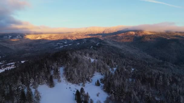 Ağaçlarla Kaplı Karlı Bir Dağ Gökyüzü Bulutlar Doğal Manzarayla Görülebilen — Stok video