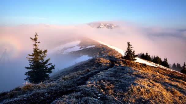 Хмари Течуть Над Гірським Хребтом Вершиною Гір Національному Парку Карпатах — стокове відео