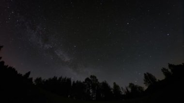 Samanyolu 'nu ve yıldızları açık bir gökyüzünde ağaçların siluetleriyle yakalayan çarpıcı bir astrofotoğrafçılık. Zaman ayarlı video..