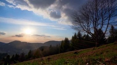Batan güneş, çimli bir tepenin tepesindeki ıssız bir ağacı aydınlatan altın bir ışıkla dağlık bir araziyi yıkıyor. Huzurlu ve huzurlu bir manzara doğası gereği güzel.