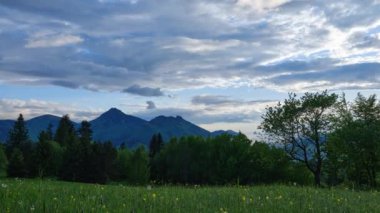 Büyüleyici manzara yeşillik, ağaçlar, görkemli dağlar, hepsi bulutlu bir gökyüzünün altında, sakin bir manzara yaratıyor.