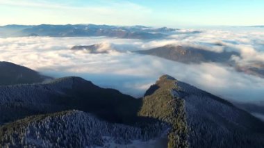 Sisli Dağların Hava Panoraması, Ormanın Üzerinde Sisli Sabah Kırsal Arazi, 